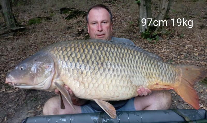 1_SvetPVA 19 kg